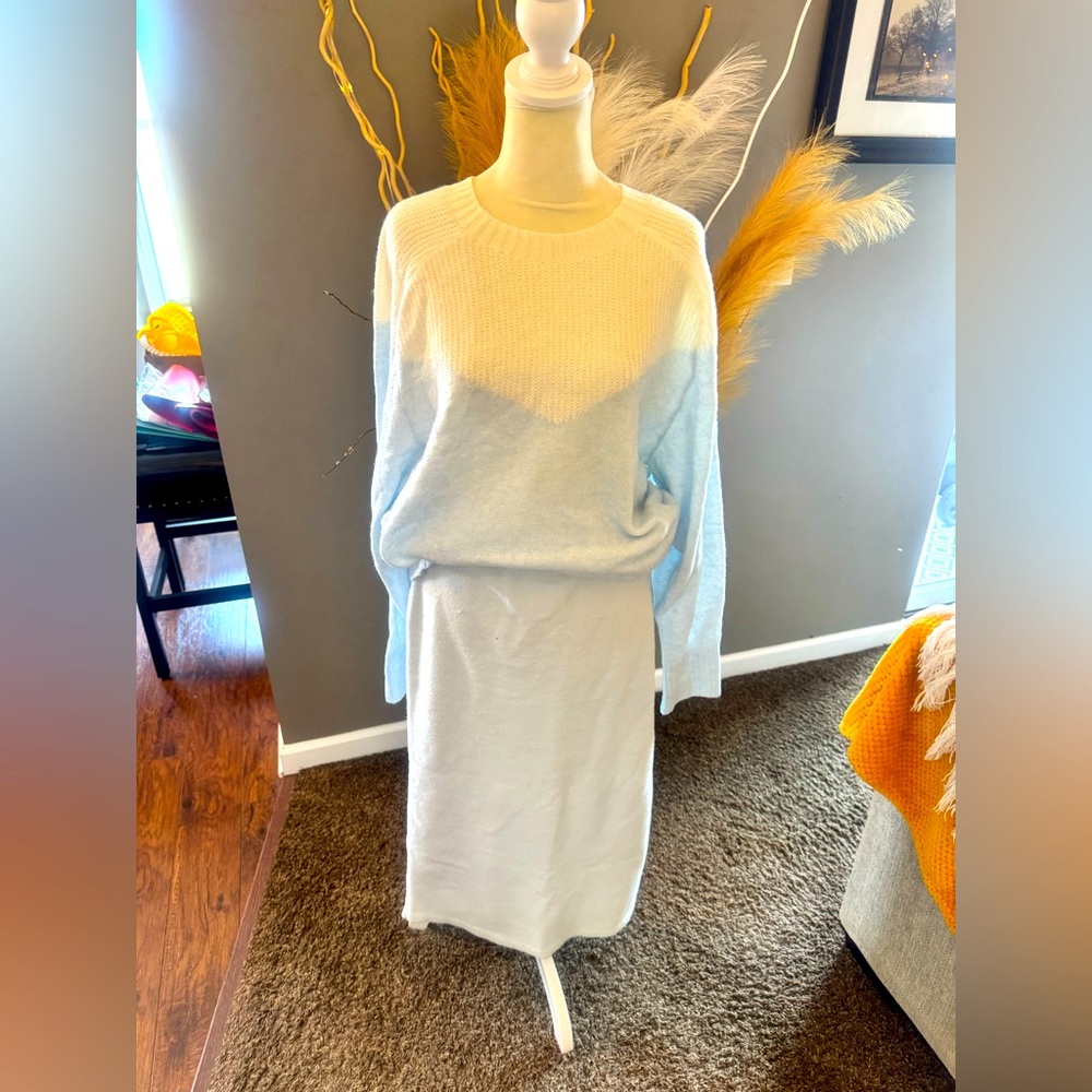 EXPRESS SKIRT AND SWEATER. BOUGHT SEPARATELY BUT SELLING AS A SET. SIZE LARGE.